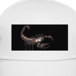 Чёрный скорпион