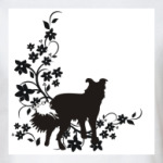 бордер колли