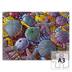 Пазл Marine life