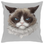 Grumpy Cat / Сердитый Кот