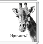 Жираф