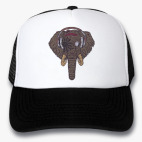 Кепки Trucker