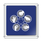 Магнит 6.5 x 6.5 см   The BBT's