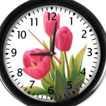 Весенние тюльпаны