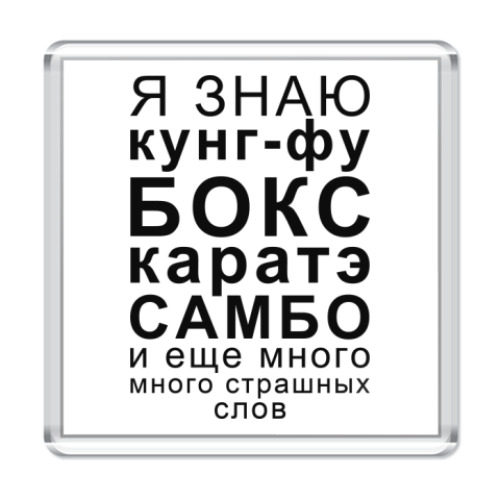 Магнит с принтом Я знаю кунг-фу, бокс, каратэ