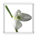 Весеннее настроение