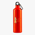 Металлическая бутылка 700 мл UV-DTF