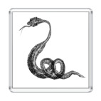 Магнит 6.5 x 6.5 см Змейка