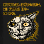 Кот Шрёдингера