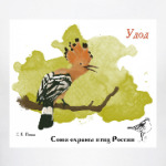Удод