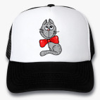 Кепки Trucker