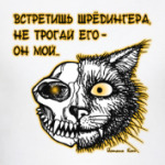 Кот Шрёдингера