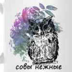 Совы Нежные