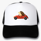 Кепки Trucker