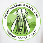 Приезжайте в Карелию!
