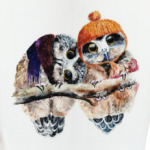 Cute owls Милые совы