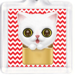 Милый Котенок