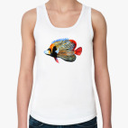 рыбный день