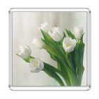 Белые тюльпаны