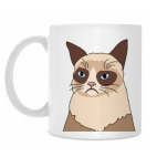 Grumpy cat