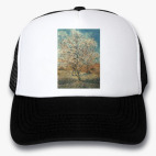 Кепки Trucker