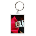 Дракула ёжик