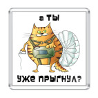 Магнит 6.5 x 6.5 см А ты уже прыгнул?