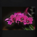 Орхидеи