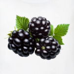Ягода ежевика