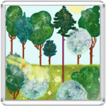 Серия 'Лес'. Солнечный заяц, лежебока.