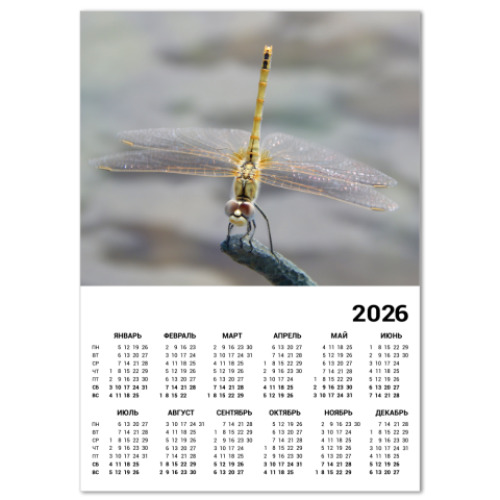Календарь с принтом Стрекоза