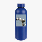 Термобутылка