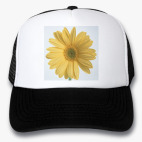 Кепки Trucker