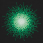 зеленая загадка