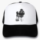 Кепки Trucker