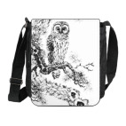 Сова на сосне