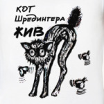  Кот Шредингера