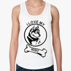  Сибирский хаски (Husky)