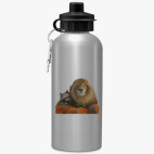 Спортивная бутылка