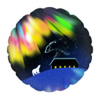 ПОЛЯРНАЯ НОЧЬ