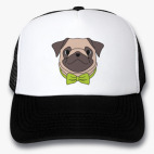 Кепки Trucker
