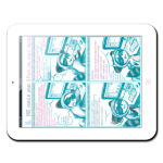 Один день из жизни енота