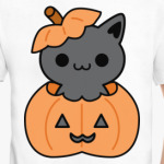Pumpkin Cat