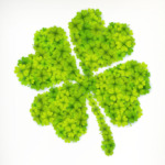 Счастливый клевер