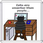  smart cat