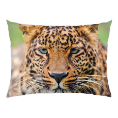 Подушка с принтом Леопард