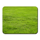 Коврик для мыши Grass