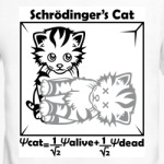 Кот Шрёдингера