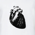  'Anatomy: Heart'