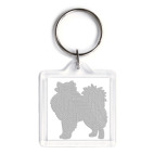 International Samoyed